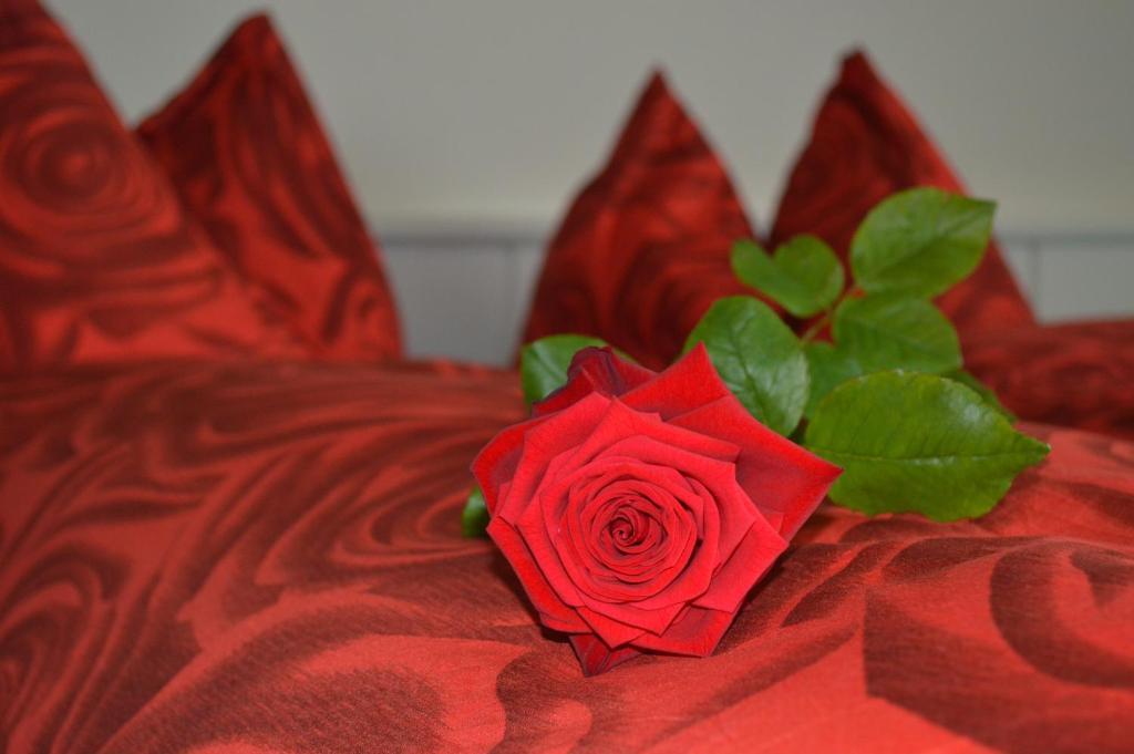 Hotel Zum Kreuz アーラウ 部屋 写真